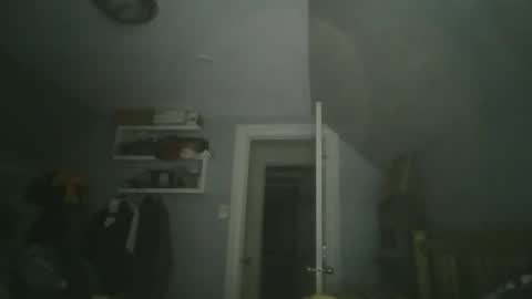 2003dynawideglide online show from January 25, 3:40 am