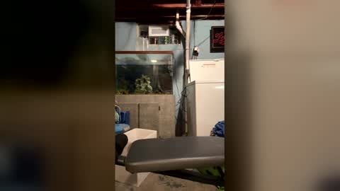 33adidas online show from April 13, 8:04 am