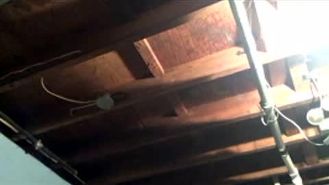 33adidas online show from April 10, 8:21 am