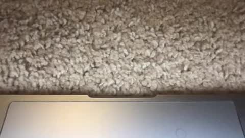 3dging_sub online show from October 9, 12:04 am