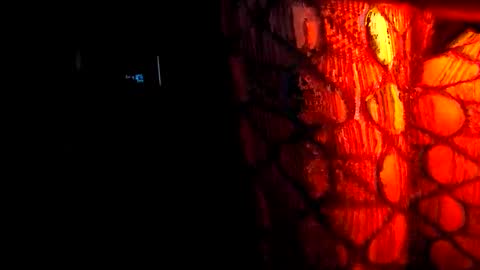 1 online show from February 16, 9:48 am