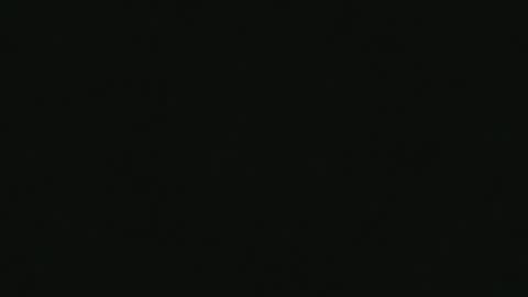 Cid online show from September 12, 10:21 pm