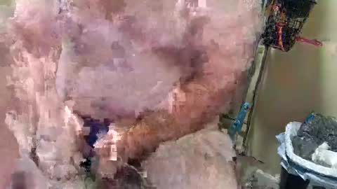 Kyle Brandon online show from October 3, 10:42 am