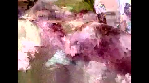 Kyle Brandon online show from February 3, 4:41 pm