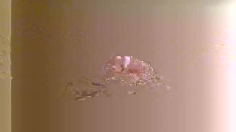 Zeus online show from November 9, 7:45 am