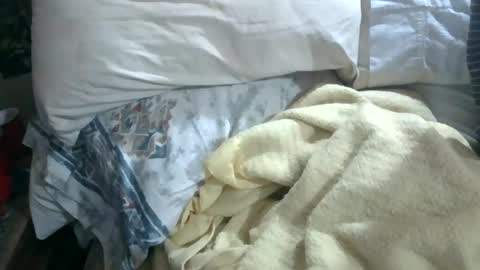 Snapshot of 69sextoyboy69 chatting on October 24, 11:01 am 69sextoyboy69 online show from October 24, 11:01 am