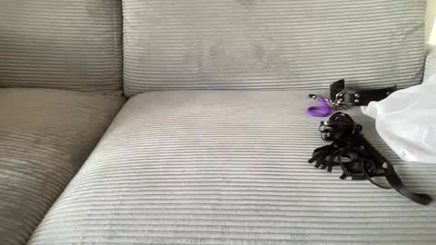 7godzilla online show from September 14, 3:25 pm