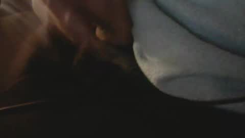 Jac COCK MODEL KIng online show from December 6, 8:59 am