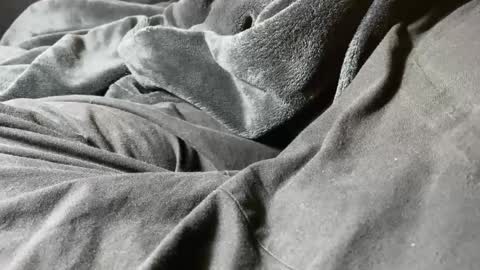 Chris online show from October 5, 6:56 pm