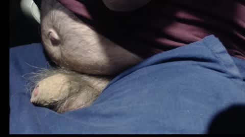 _jimmini online show from February 12, 8:59 pm