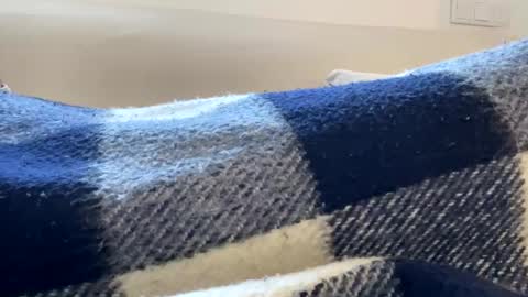 _muestroverga online show from March 15, 7:05 am