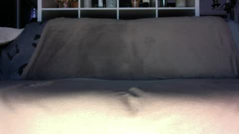a_nice_dick_77 online show from July 20, 3:45 am