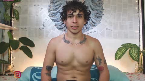 Manul online show from January 2, 1:30 pm