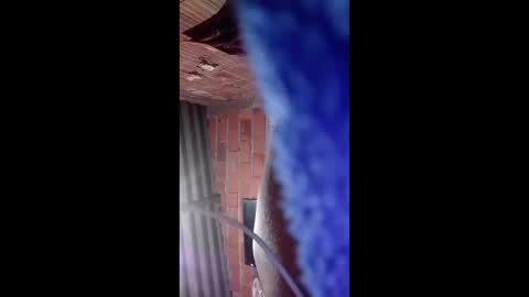 acacio2026 online show from April 9, 6:19 am