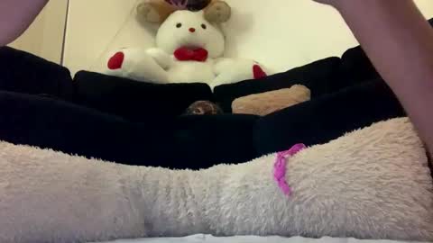 ENIGMA TZX5114 online show from February 20, 12:15 pm