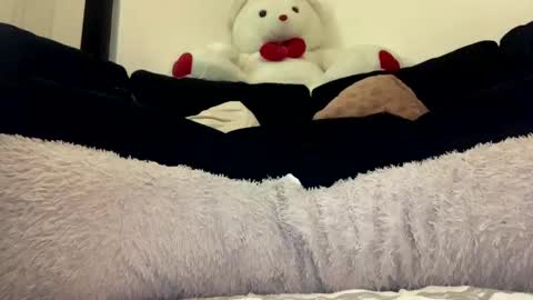 ENIGMA TZX5114 online show from January 1, 11:49 am