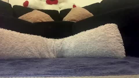 ENIGMA TZX5114 online show from March 10, 11:23 am