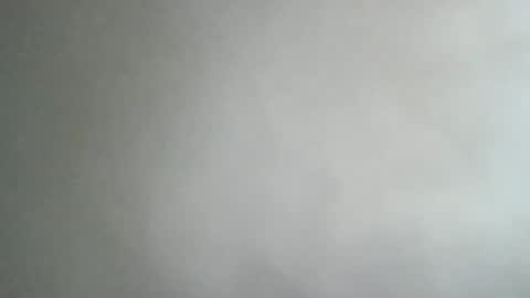 adi2019 online show from January 8, 11:54 am