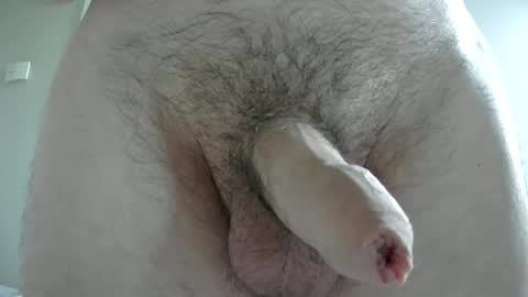 adi2019 online show from February 4, 3:26 pm