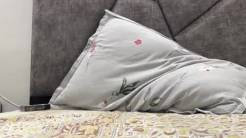 Snapshot of akshat_high chatting on February 21, 6:18 am akshat_high online show from February 21, 6:18 am