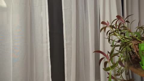 ali500886 online show from March 30, 5:52 am