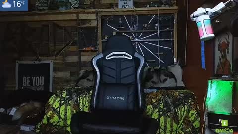 Allan arod online show from January 19, 11:01 am