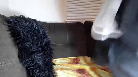 amiri_sweater online show from March 5, 3:41 am