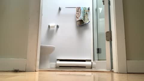 an online show from April 6, 6:31 pm