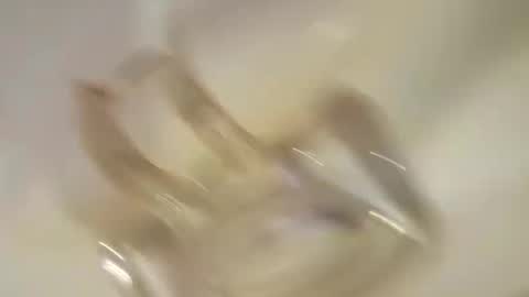 andrewo4277 online show from February 7, 12:50 pm