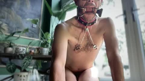 ansal1001 online show from September 11, 2:49 pm