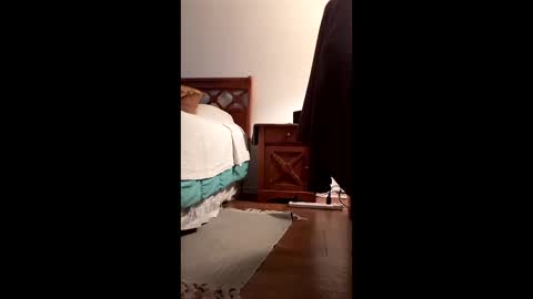 antonino85 online show from December 2, 11:21 pm