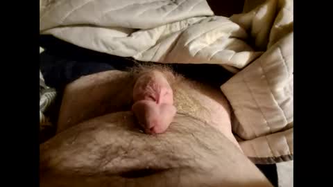 Snapshot of anythng4fn chatting on January 22, 4:02 am Anythng4fn online show from January 22, 4:02 am