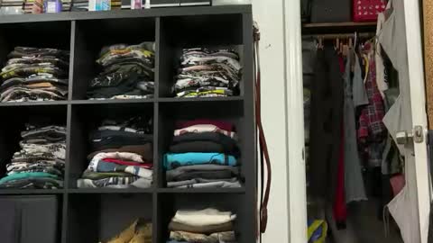 cowboy online show from January 12, 8:29 am