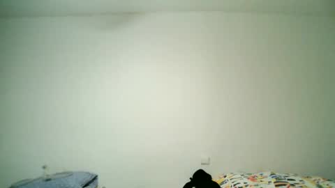 Snapshot of apixaba chatting on December 28, 6:08 pm furry bear online show from December 28, 6:08 pm