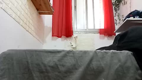 Snapshot of arielferdman chatting on December 3, 9:53 am arielferdman online show from December 3, 9:53 am