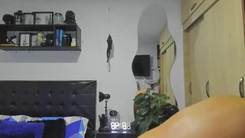 ARON  Independent model  online show from November 20, 1:49 am