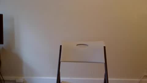 asfjkl online show from January 17, 6:33 pm