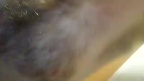 Pluke online show from January 11, 9:04 am