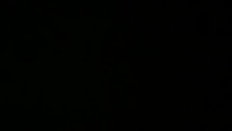 avg3131 online show from January 16, 6:35 am