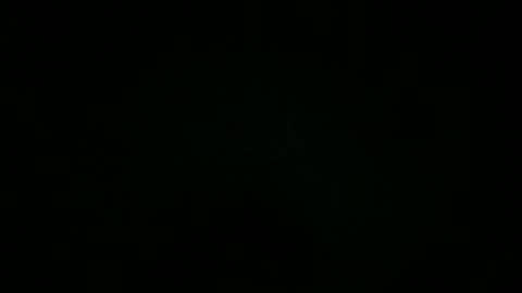 avg3131 online show from December 7, 1:04 am