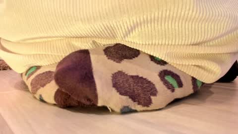 Snapshot of axellcollins chatting on December 7, 9:55 pm im your little femboy  ALEX   online show from December 7, 9:55 pm