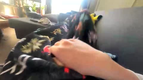 babyface603592 online show from February 15, 9:34 pm