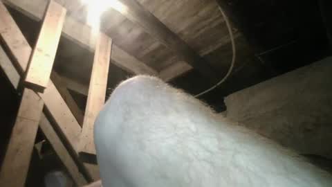 babyxxxangel online show from September 20, 9:42 am