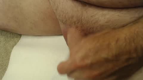 Penguin online show from September 27, 1:14 am