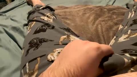 bandman862 online show from January 7, 11:24 pm