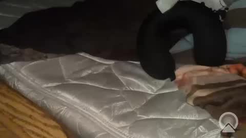 John online show from October 11, 5:11 am