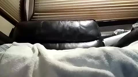 baobabtree8 online show from December 27, 1:28 pm