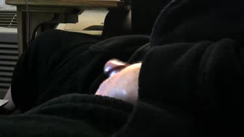 bear4146 online show from February 15, 1:30 pm