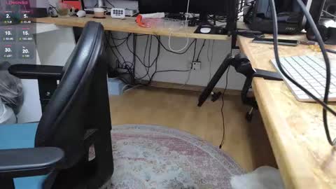 benreich online show from October 18, 11:26 am