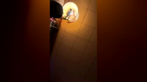 bharv69926743 online show from March 4, 9:05 am